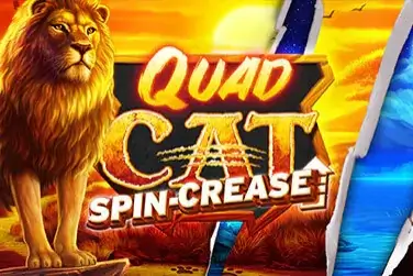 Quad Cat